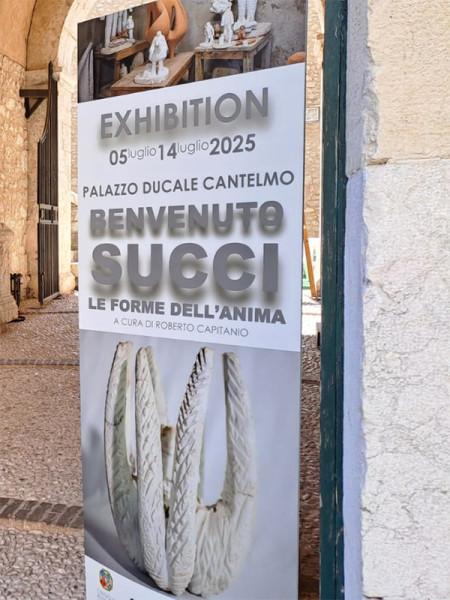 Benvenuto SUCCI, le forme dell'anima