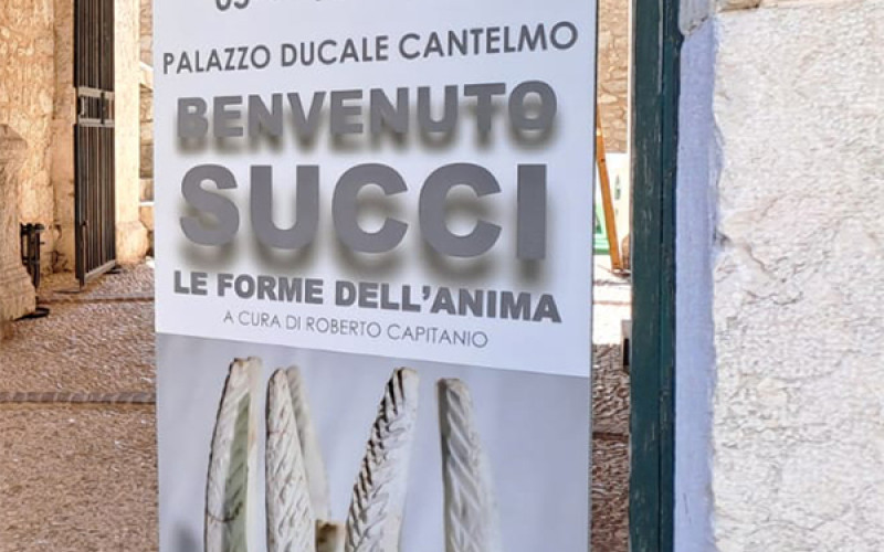 Benvenuto SUCCI, le forme dell'anima