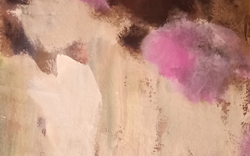 Il fascino del colore